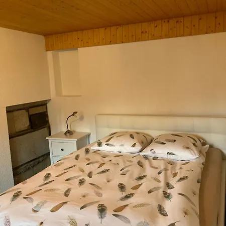 公寓 Roemerhaus Münster